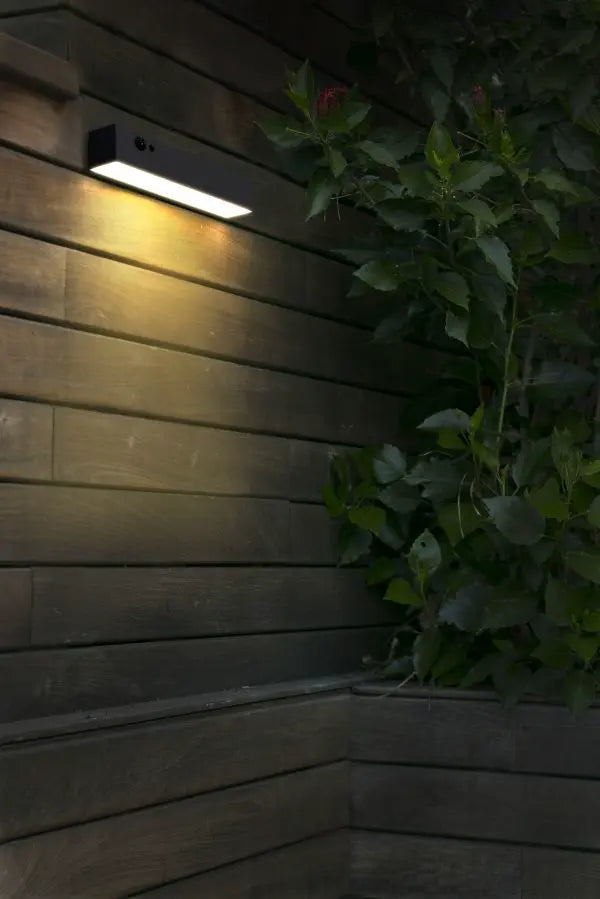 Solar Wall Lights with Customizable Brightness
Durable Solar Wall Lights for Outdoor Use
Solar Wall Lights for Exterior Pathways
Solar Wall Lights with Integrated Solar Panels
Solar Wall Lights for Home Facades
Solar Wall Lights for Garden Borders
Solar Wall Lights with Energy-Saving Technology
Solar Wall Lights for Outdoor Entryways
Solar Wall Lights with High Visibility
Decorative Solar Wall Lights for Outdoor Walls
Solar Wall Lights with Enhanced Durability
Stylish Solar Wall Lights for Exterior Lighting